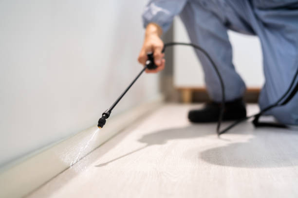 Licensed Pest Control service in Dundee, NY - Show Me Pest Control