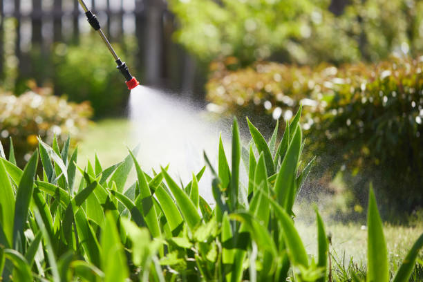 Tamper-Resistant Bait Stations for Rodents in Dundee